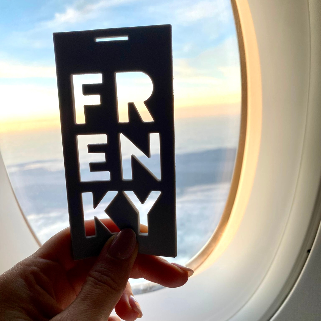 Frenky_goes_to_travel_backpack_vacuum.png